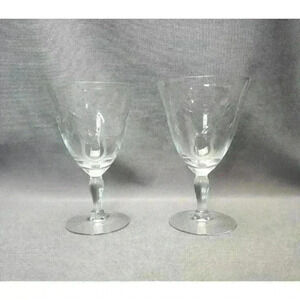 Vintage Susquehanna Fantasy Pattern Water Goblets Floral Wine Glasses (Set of 2)